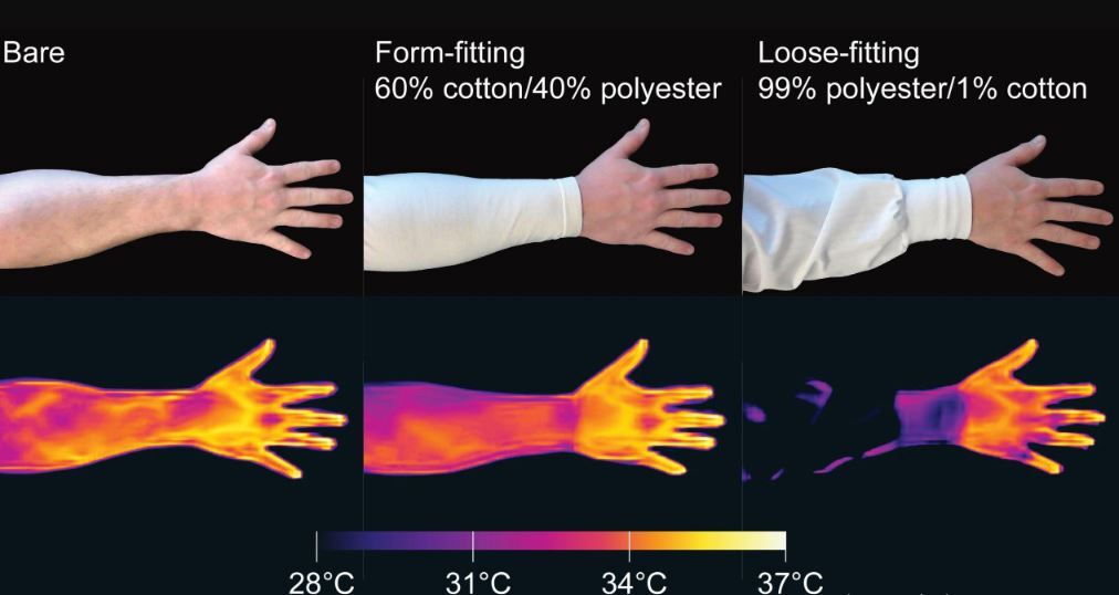پشه‌ها چگونه با استفاده از اشعه مادون قرمز به شکار انسان‌ها می‌پردازند؟