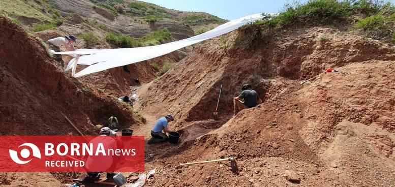 کشف دایناسوری با «ابروی» منحصربه‌فرد در قرقیزستان!