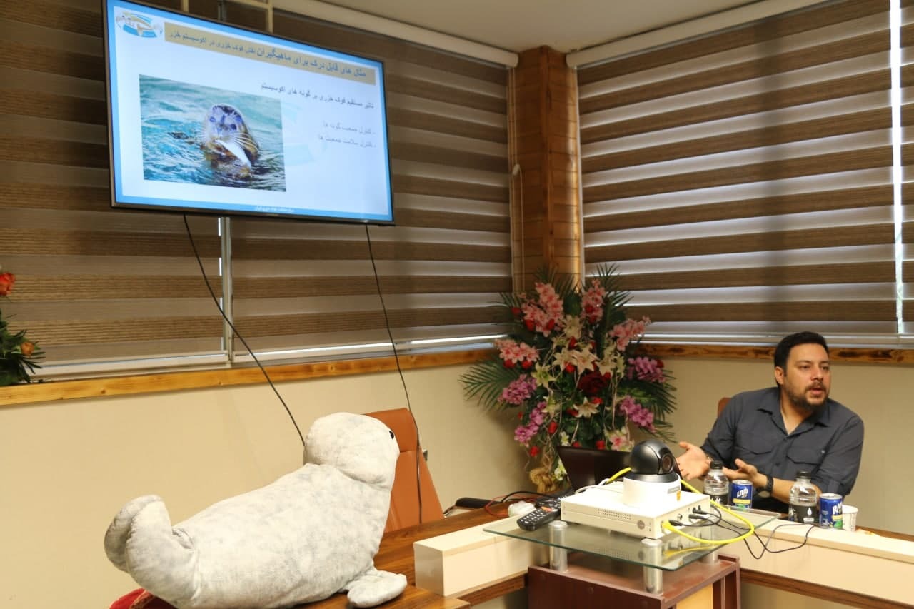 برگزاری کارگاه آموزشی حفاظت از فوک خزری در اداره کل حفاظت محیط زیست گیلان