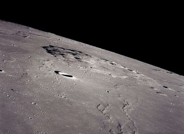 ناگفته‌ای شگفت‌انگیز از عصر دایناسورها