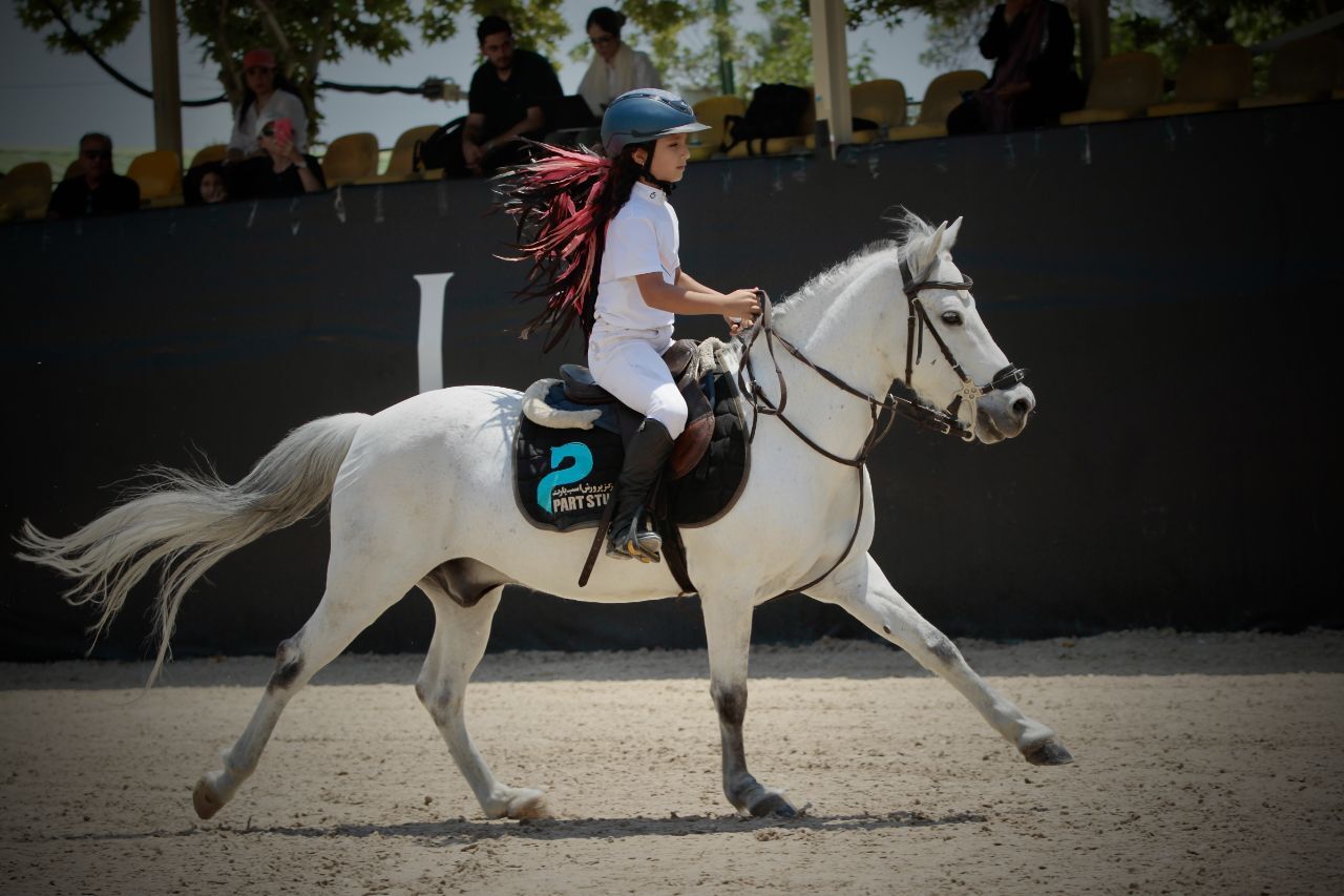 دبیر کمپین ثبت جهانی اسب کاسپین در یونسکو انتخاب شد