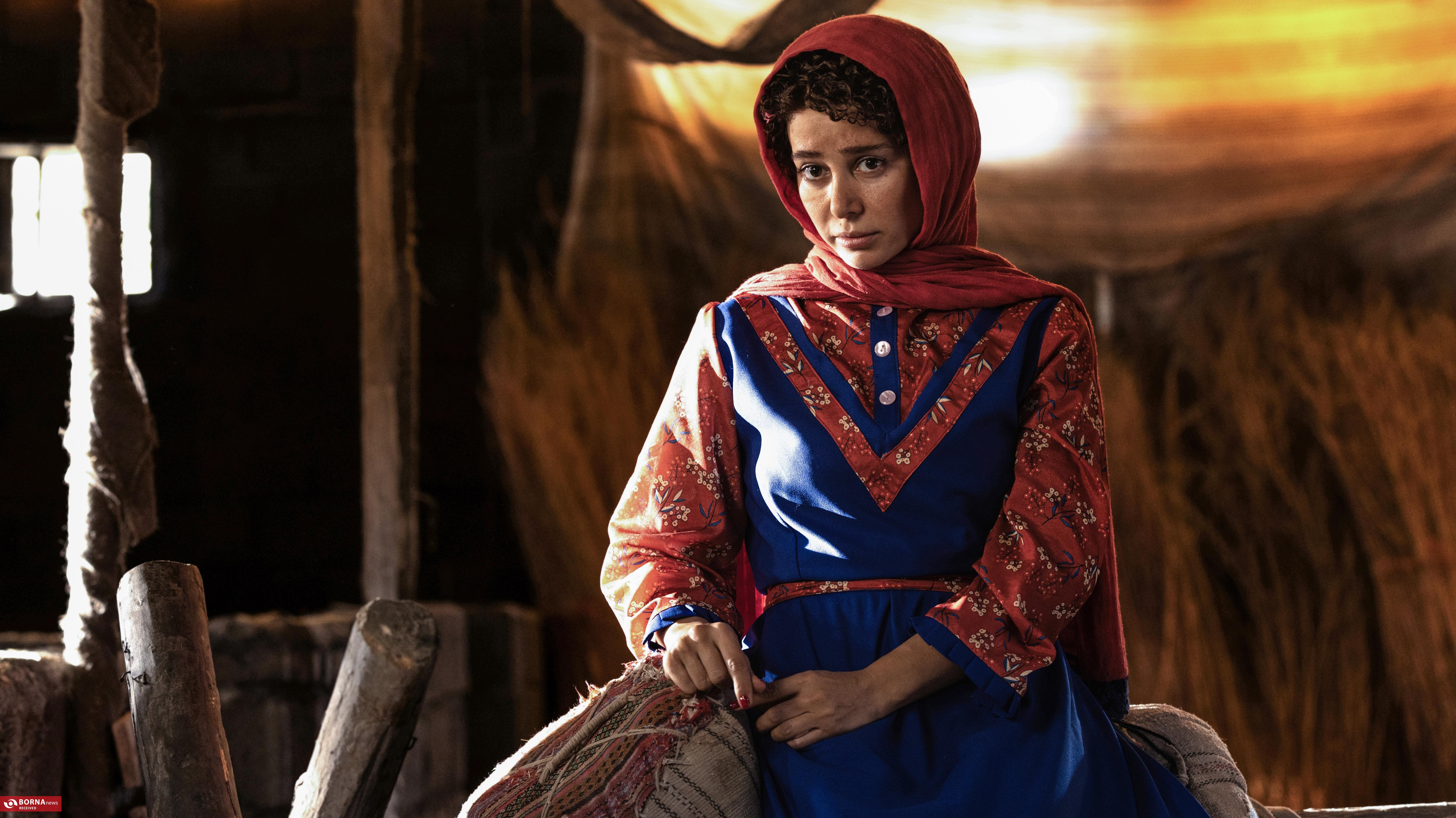 نمازی: مرگ را جدی نمی‌گیرم/ زندگی جای دیگری است