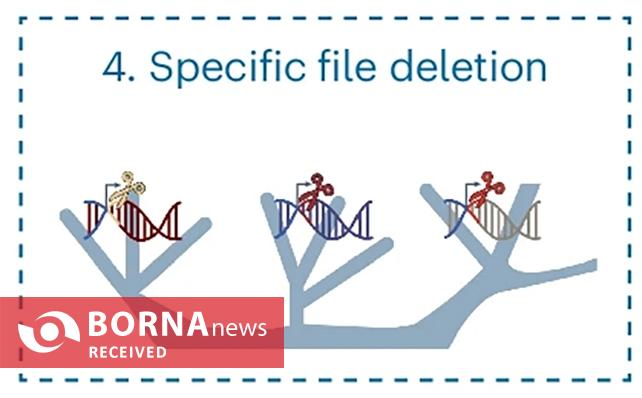 ساخت رایانه DNA با قابلیت ذخیره و پردازش داده‌