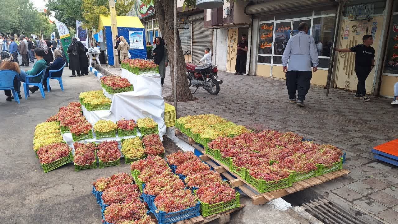 جشن و شادی در خیابان انگور با جشنواره انگور تاکستان