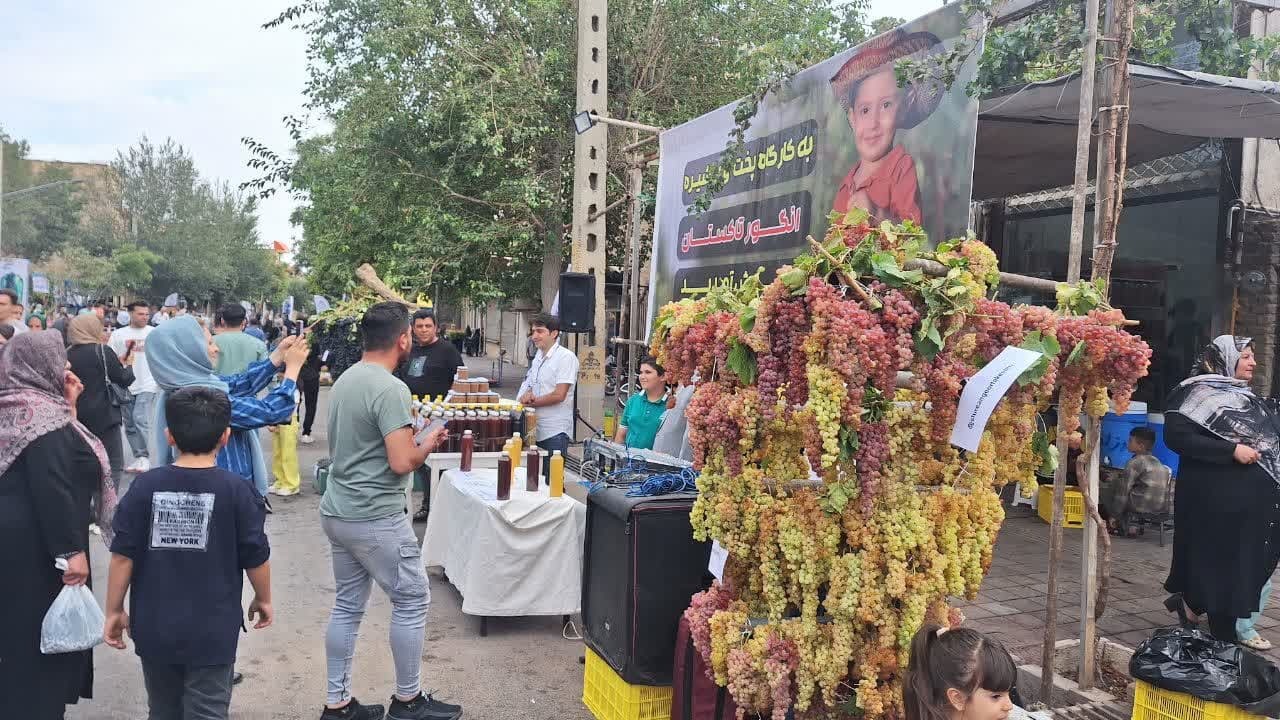 ۳ میلیون و ۲۰۰ هزار تن انگور در ۲۸۸ هزار هکتار تاکستانهای کشور تولید می شود