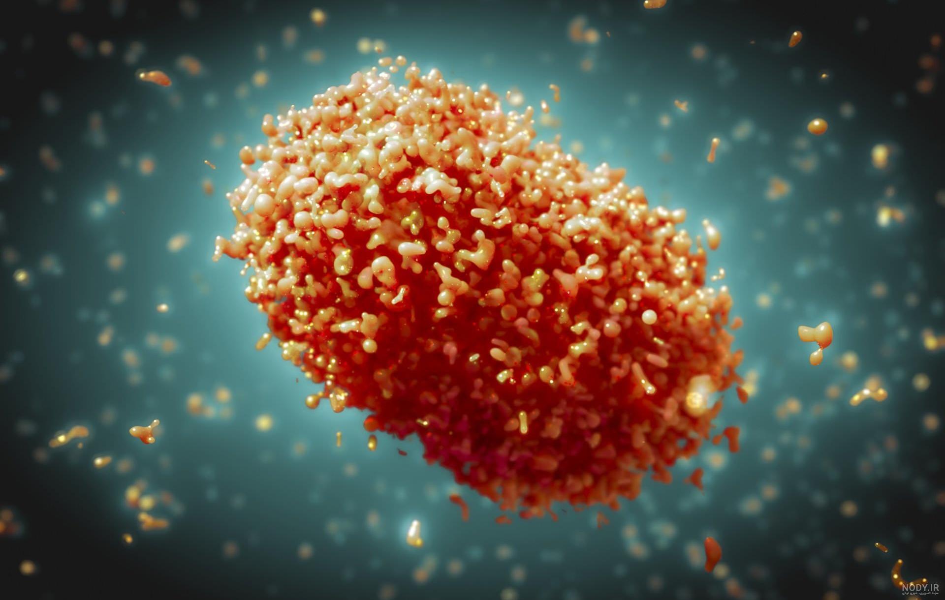 واکسن‌های آبله میمونی تا چه اندازه موثراند؟