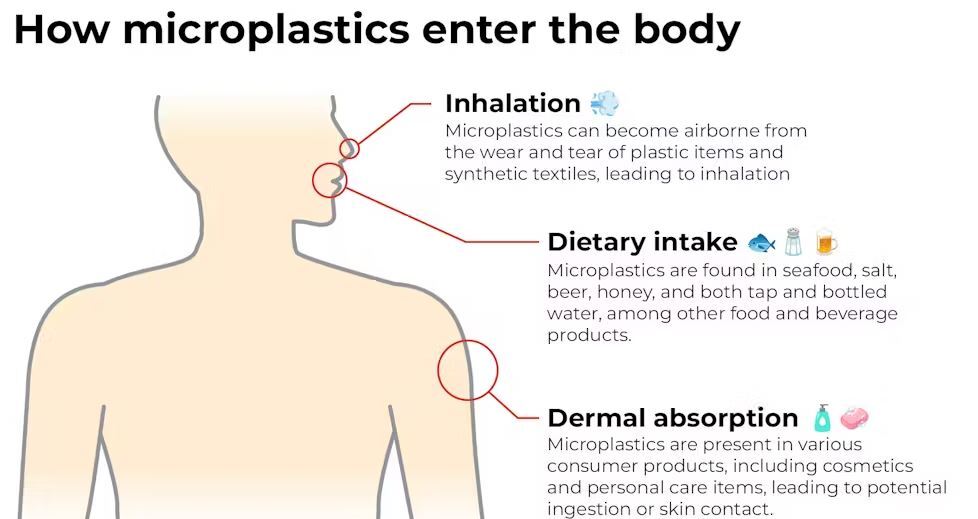 میکروپلاستیک‌ها یک تهدید جدی برای سلامت و محیط زیست
