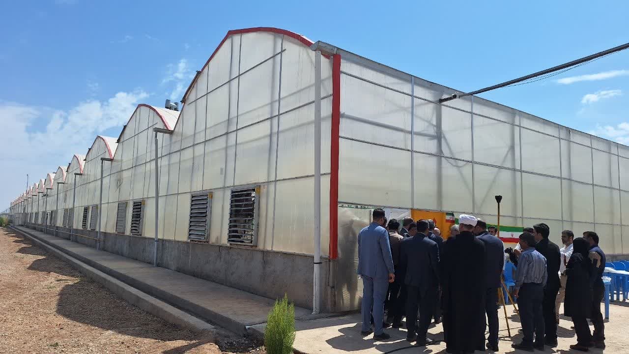 شهرک گلخانه ای نودهک تاکستان می تواند پایلوت کشور شود شهرک گلخانه ای نودهک تاکستان می تواند پایلوت کشور شود