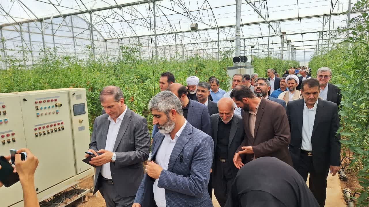 شهرک گلخانه ای نودهک تاکستان می تواند پایلوت کشور شود شهرک گلخانه ای نودهک تاکستان می تواند پایلوت کشور شود