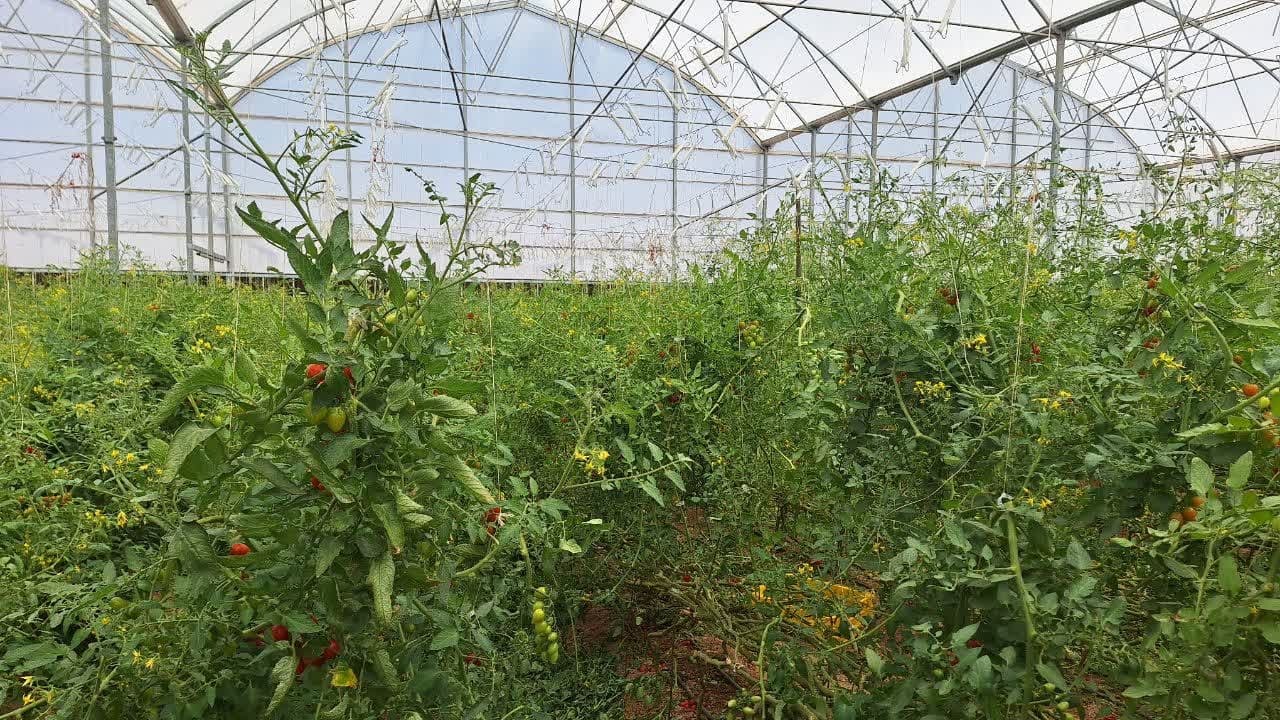 مدیران شهرستان تاکستان تا آخرین لحظه مسئولیت خود با جدیت در خدمت مردم هستند مدیران شهرستان تاکستان تا آخرین لحظه مسئولیت خود با جدیت در خدمت مردم هستند