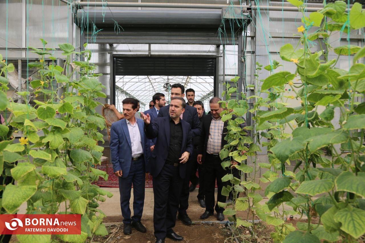 بهره برداری از 28 طرح عمرانی و اقتصادی در شهرستان ری بهره برداری از 28 طرح عمرانی و اقتصادی در شهرستان ری