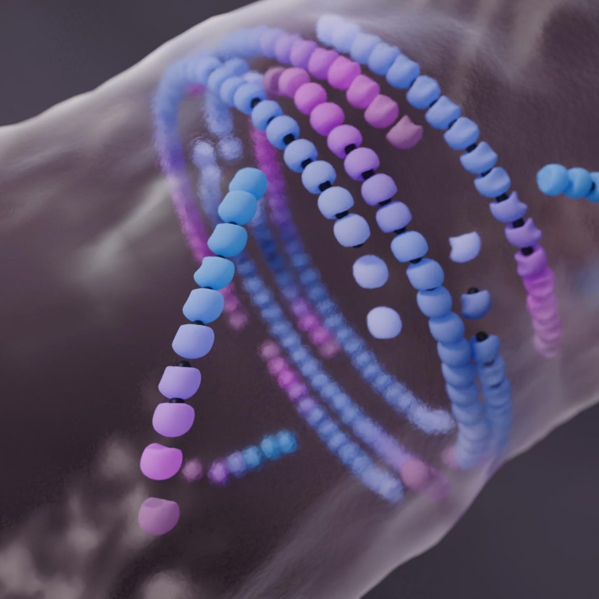 آشکار شدن راز مرگ هماهنگ در باکتری‌ها/ کشف کلیدی برای طراحی مواد مصنوعی