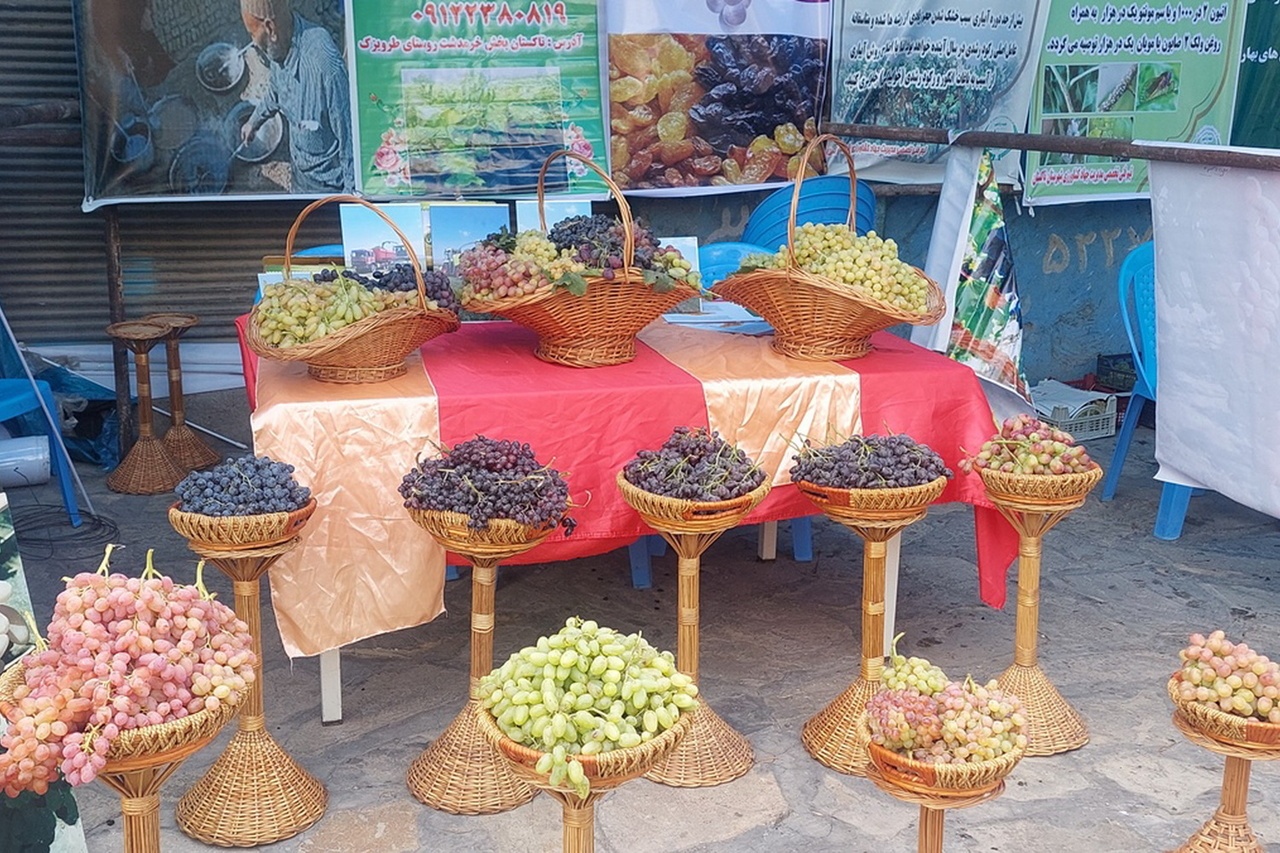 دو رویداد گردشگری قزوین در هفته گردشگری ثبت ملی شد