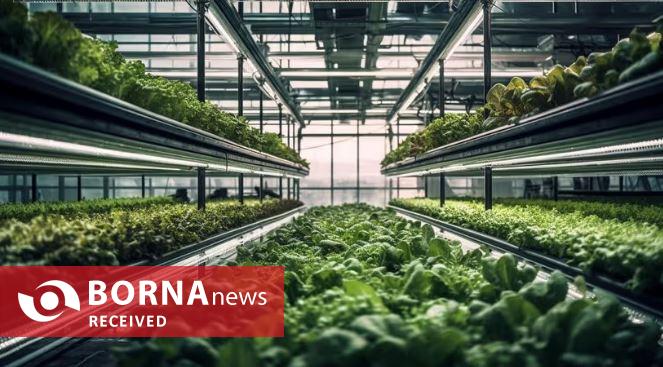 گلخانه‌های هوشمند رمز موفقیت در کشاورزی مدرن