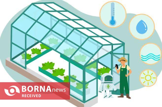 گلخانه‌های هوشمند رمز موفقیت در کشاورزی مدرن