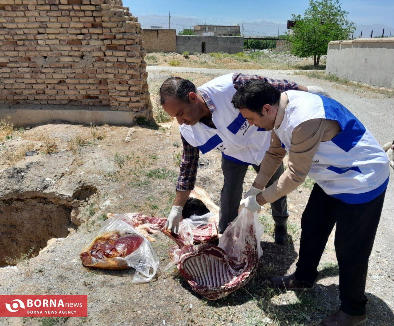 کشف، ضبط و معدوم‌سازی بیش از ۵ تن انواع مواد خام دامی در نهاوند