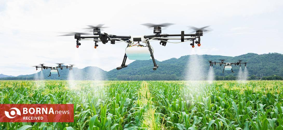 شناسایی و سمپاشی دقیق آفات با هوش مصنوعی در ایران