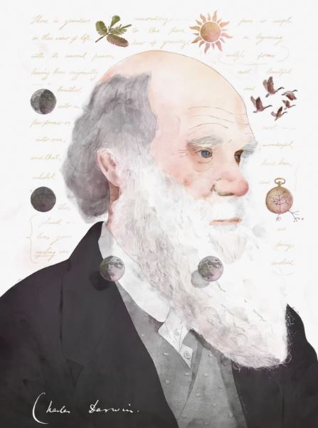 رازهای ریتمهای زیستی در طبیعت کشف شد رازهای ریتمهای زیستی در طبیعت کشف شد