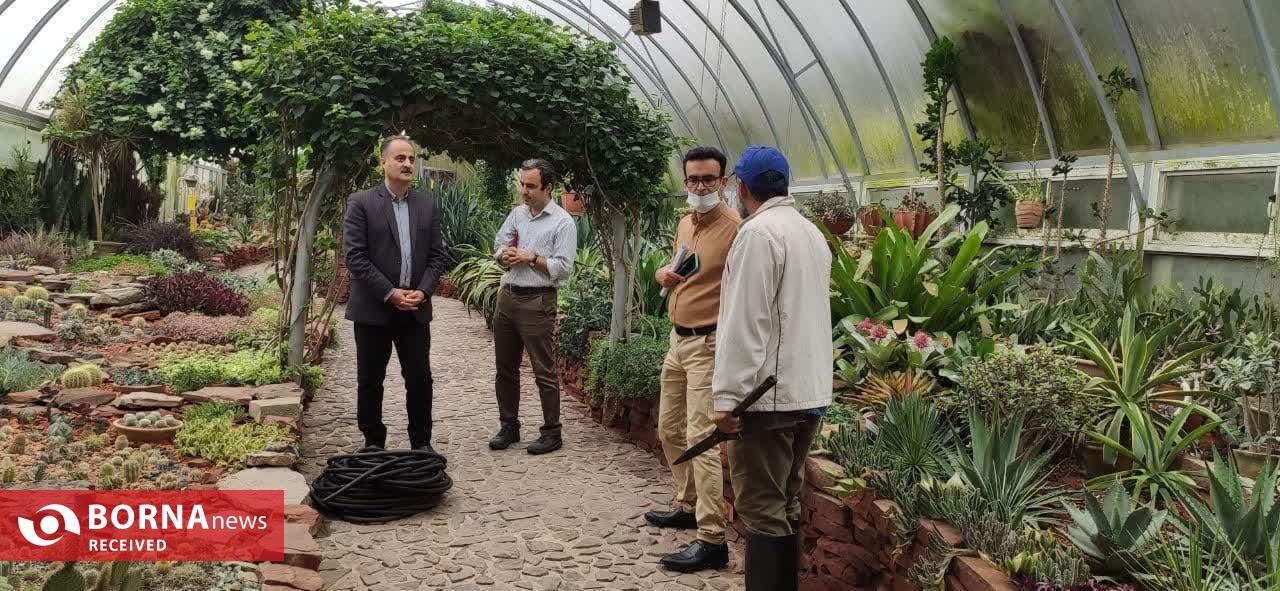 تأسیس باغ پرندگان در روستای کوبیجار لاهیجان تأسیس باغ پرندگان در روستای کوبیجار لاهیجان