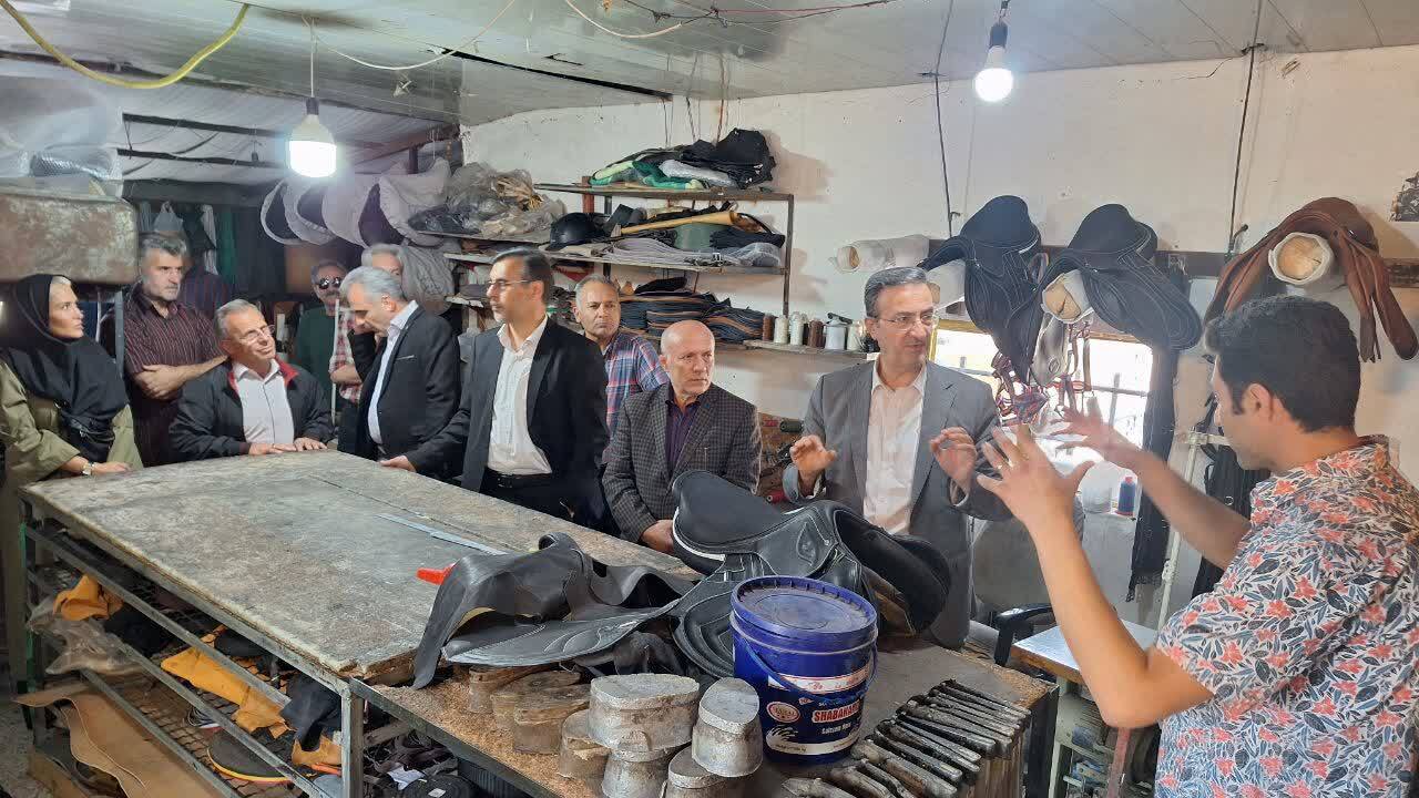 قزوین در راه اندازی رشته‌های اسب دوانی، درساژ و پاراسوارکاری پیشگام باشد