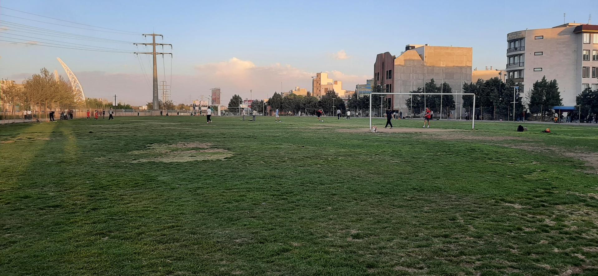 ساماندهی وضعیت زمین شقایق نیازمند داشتن برنامه مدیریتی جدید است