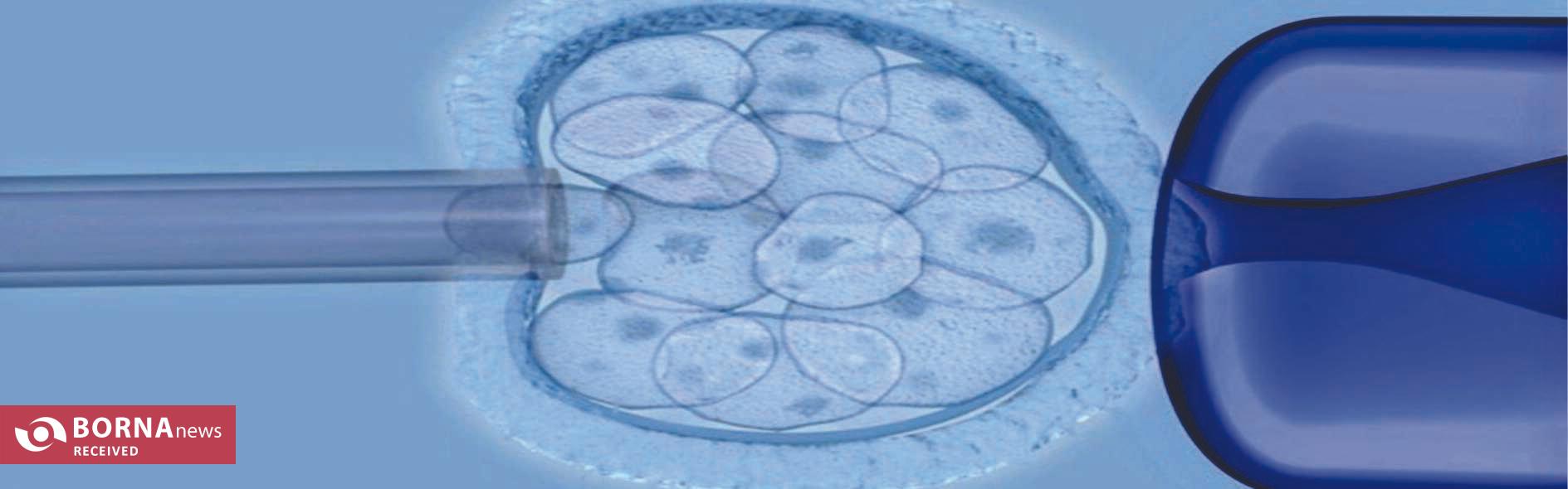 انقلابی در درمان ناباروری مردان/ تراشه ایرانی جایگزین روش‌های قدیمی ناباروری شد