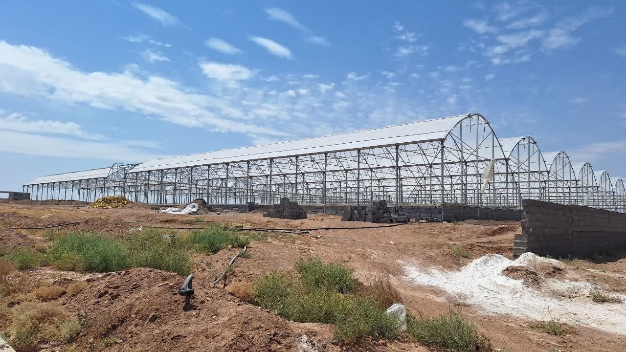 سالانه ۱۵ هزار تن محصول در شهرک گلخانه ای نودهک تاکستان تولید می شود