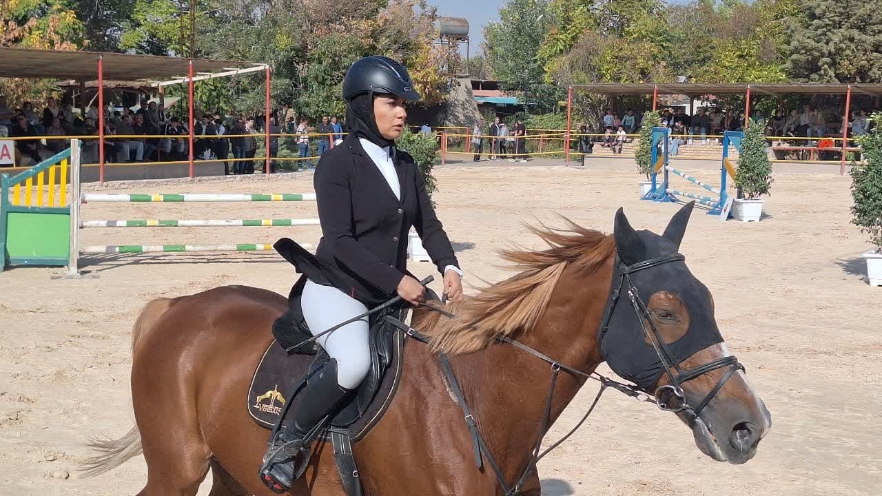 آغاز مسابقات سوارکاری قهرمانی پرش با اسب در قزوین آغاز مسابقات سوارکاری قهرمانی پرش با اسب در قزوین