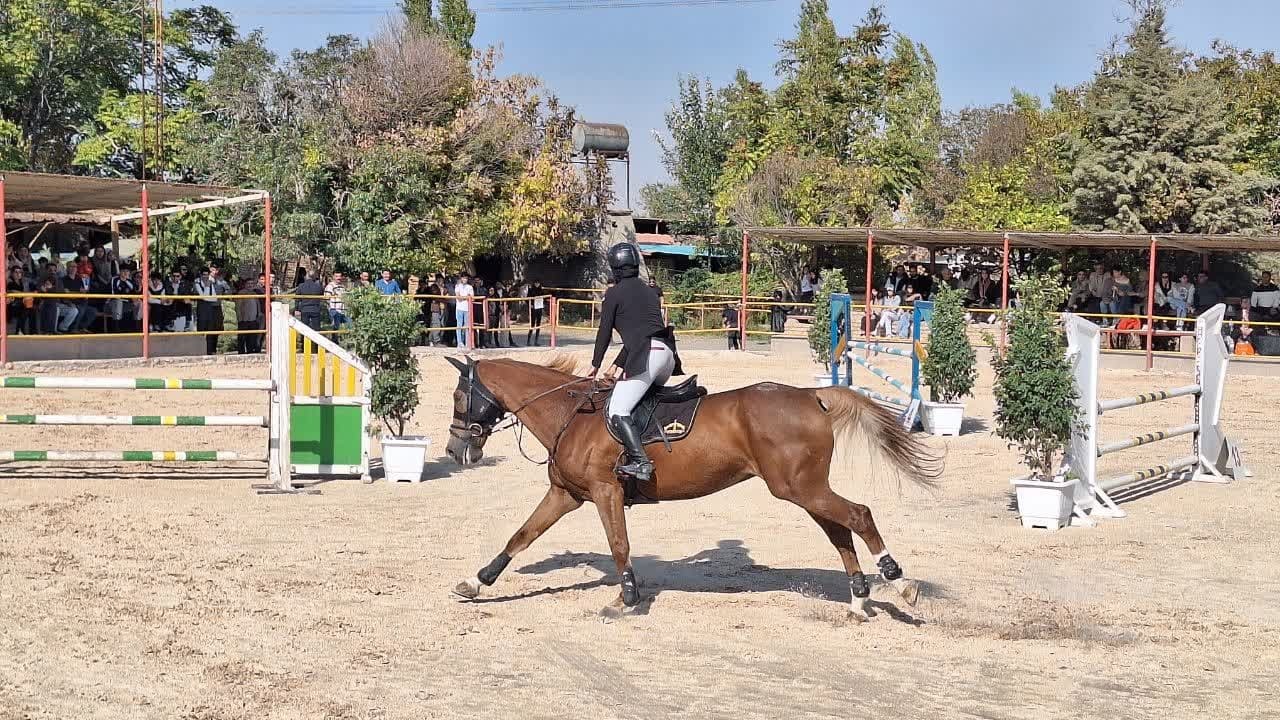 آغاز مسابقات سوارکاری قهرمانی پرش با اسب در قزوین آغاز مسابقات سوارکاری قهرمانی پرش با اسب در قزوین