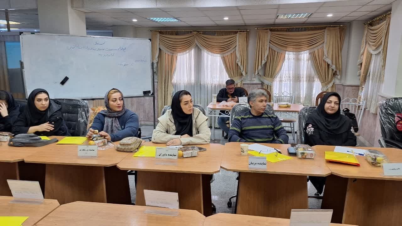 مستند تلویزیونی ورزشکاران، مربیان و داوران موفق رشته های جانبازان و کم توانان تهیه می شود  