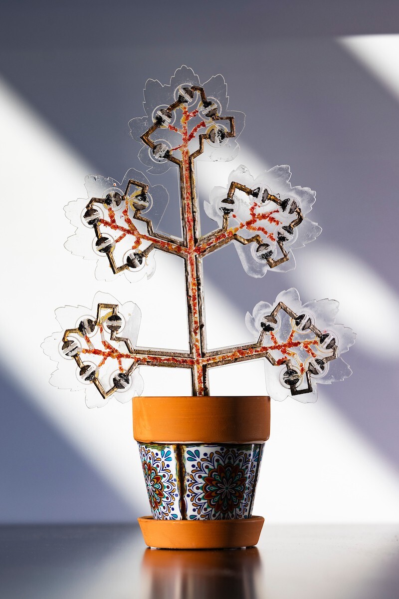 گیاهان شگفت‌انگیز راه حلی نوین برای تصفیه هوا و تولید انرژی+ فیلم