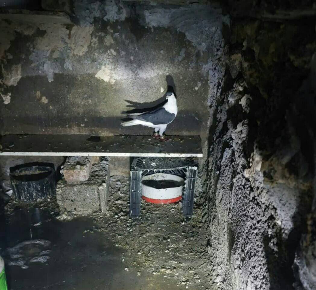 آتش سوزی هولناک یک گاراژ در بزرگراه شهید کاظمی آتش سوزی هولناک یک گاراژ در بزرگراه شهید کاظمی