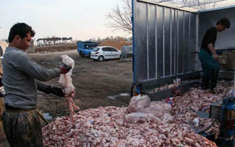جمع آوری فرآورده های خام دامی غیر مجاز در رستورانها و مراکز عرضه آبیک جمع آوری فرآورده های خام دامی غیر مجاز در رستورانها و مراکز عرضه آبیک