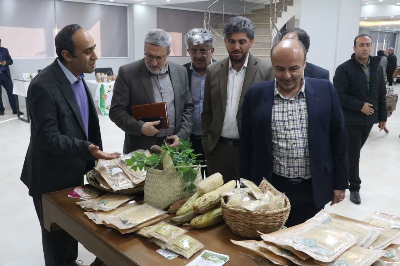 برگزاری نمایشگاه واحدهای فناوربخش کشاورزی استان قزوین برگزاری نمایشگاه واحدهای فناوربخش کشاورزی استان قزوین