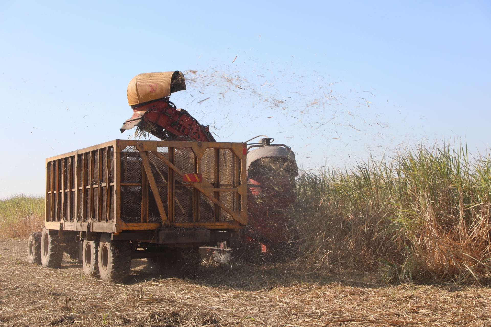 رییس سازمان حفاظت محیط زیست معضلات محیط زیستی خوزستان را ارزیابی کرد