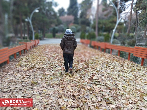 بوستان ساعی تهران_ پاییز ۱۴۰۳