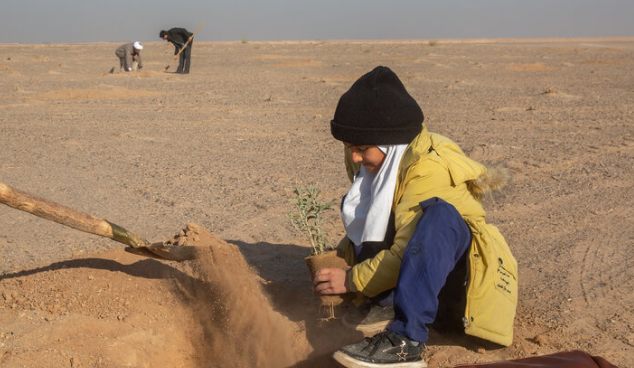برگزاری پویش سراسری درختکاری فاطمی در سایه مادر در استان قزوین برگزاری پویش سراسری درختکاری فاطمی در سایه مادر در استان قزوین