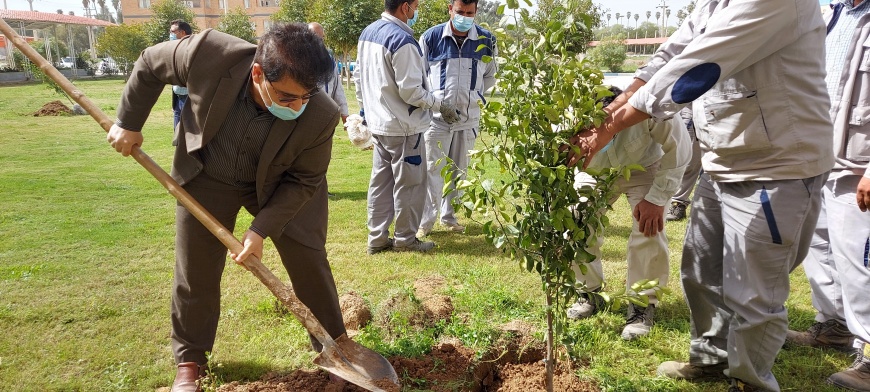 کاشت یک هزار و ۳۱۳ اصله نهال درهمایش«سایه مادر» در قزوین آغاز شد