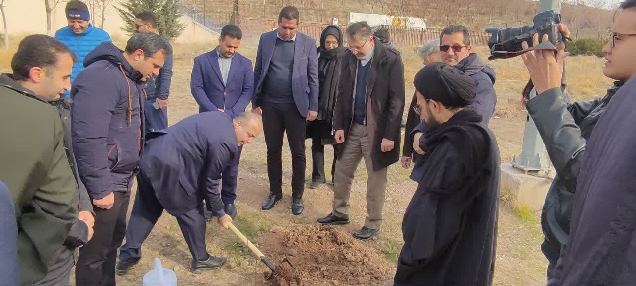 کاشت یک هزار و ۳۱۳ اصله نهال درهمایش«سایه مادر» در قزوین آغاز شد