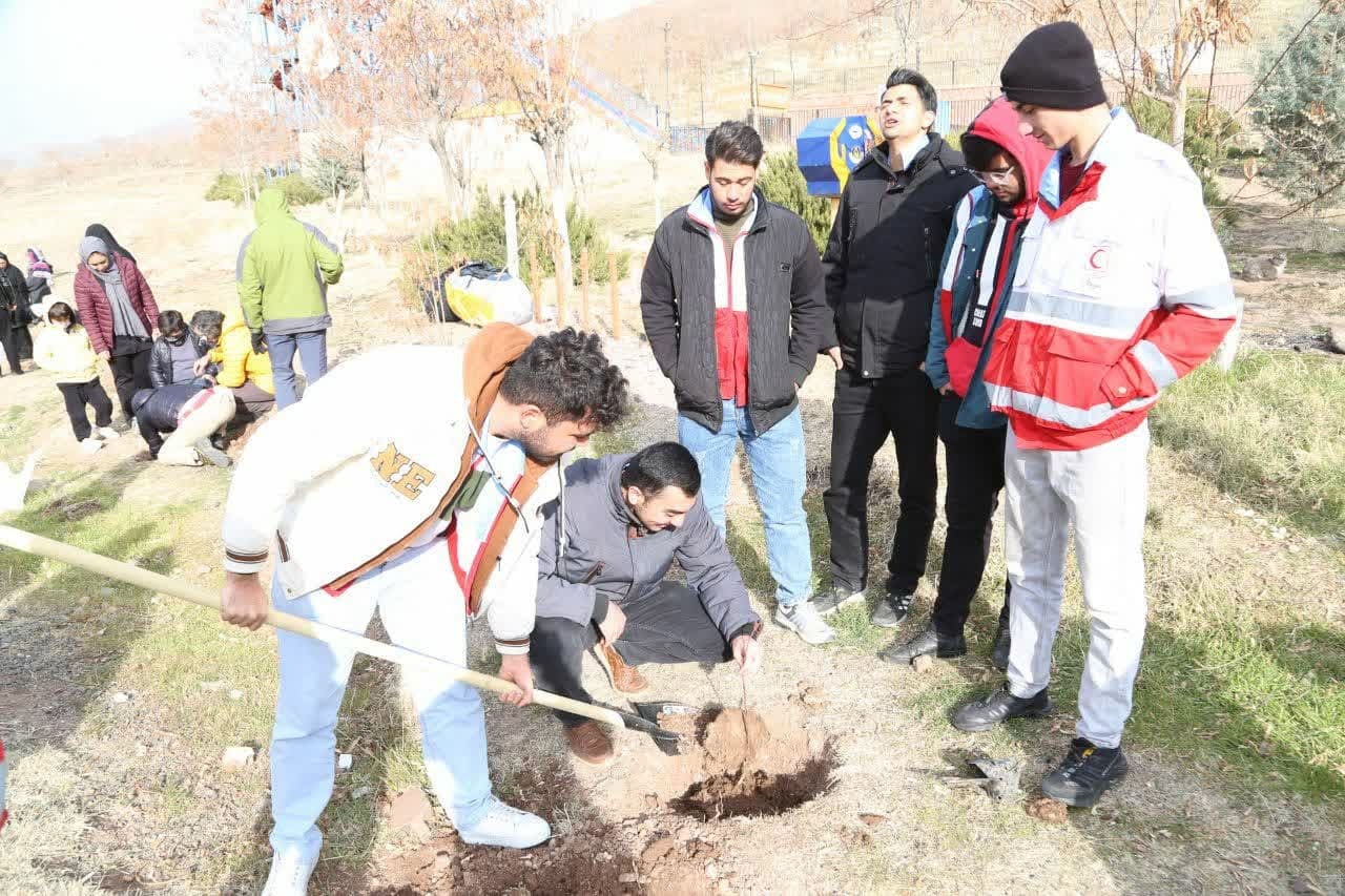 کاشت یک هزار و ۳۱۳ اصله نهال درهمایش«سایه مادر» در قزوین آغاز شد