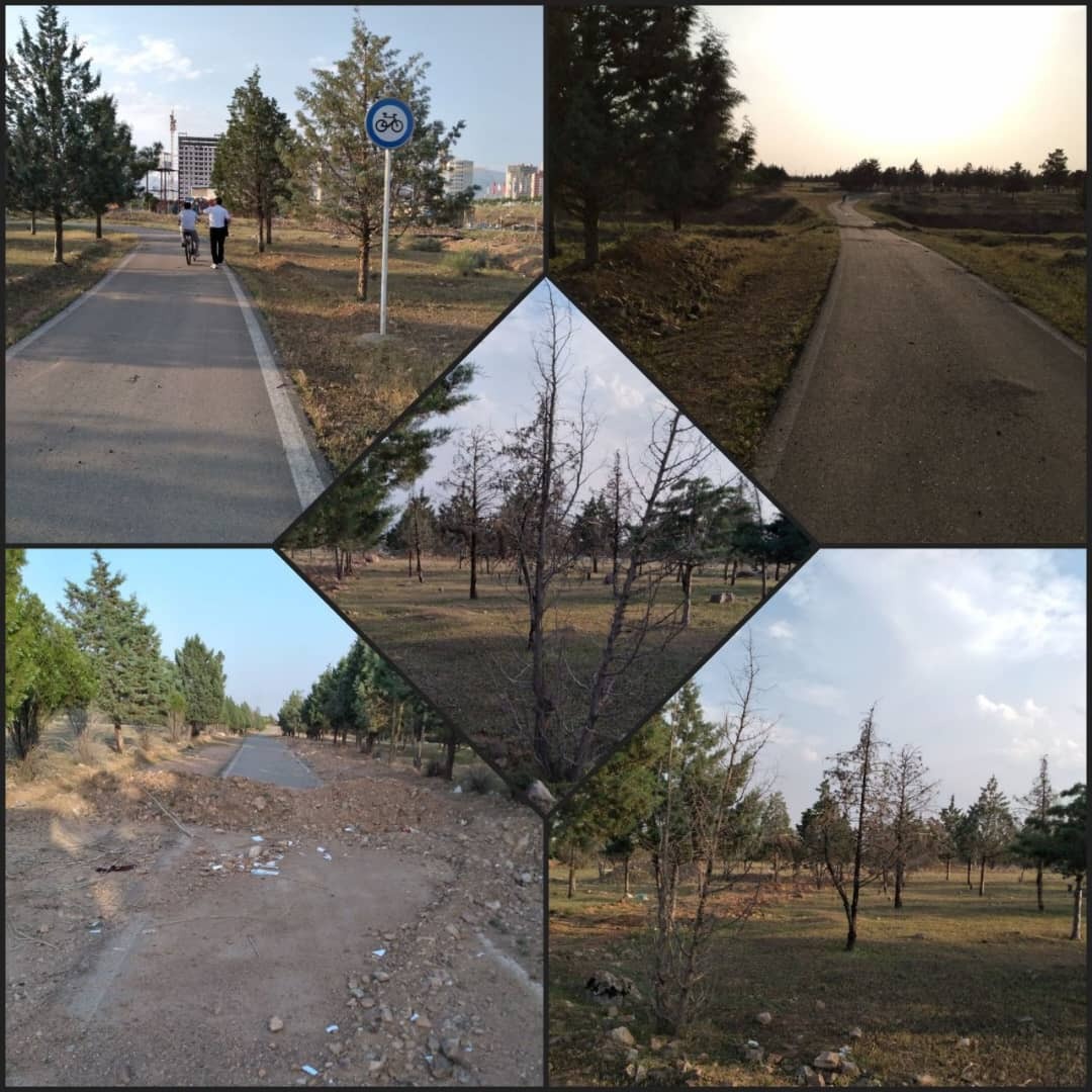 ایجاد «سرزمین دوچرخه سواری» در شهر مهستان ایجاد «سرزمین دوچرخه سواری» در شهر مهستان