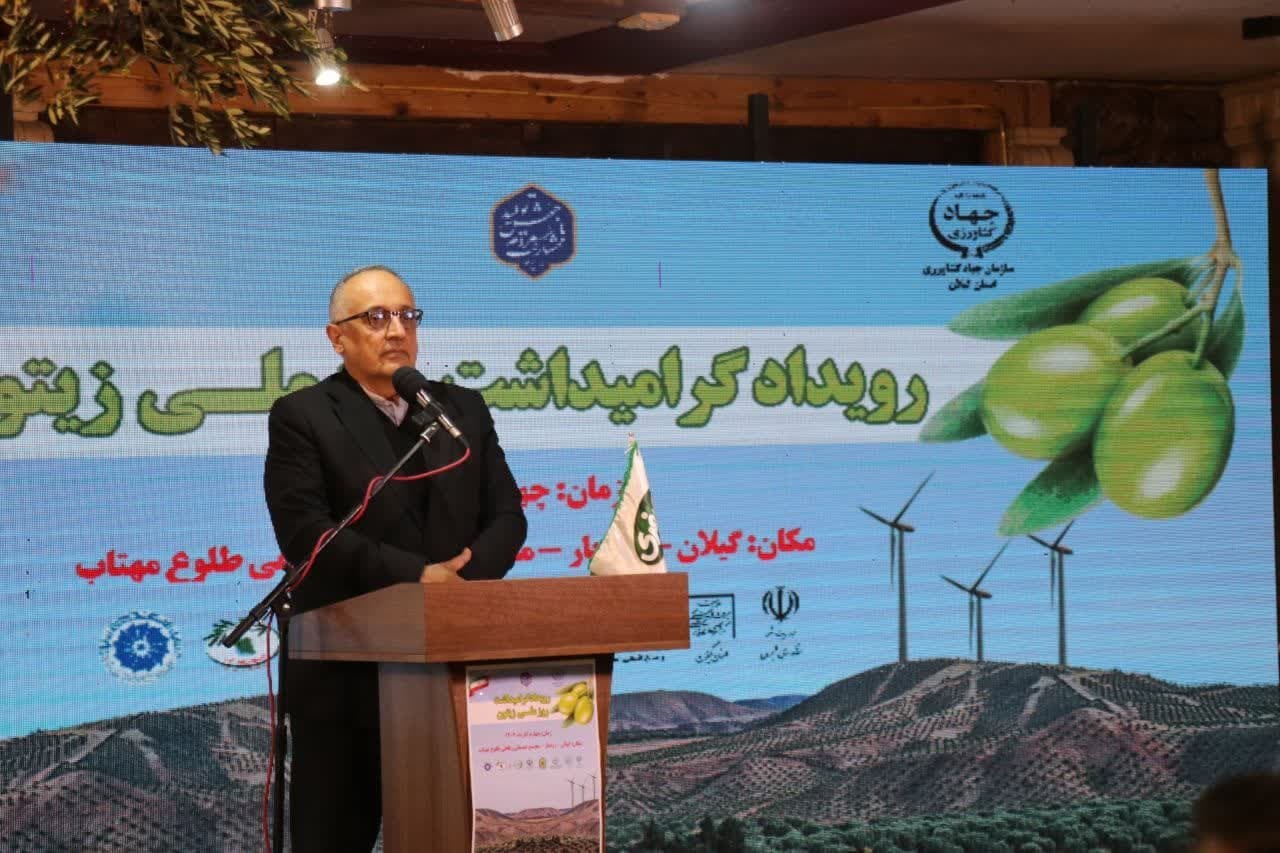 برگزاری رویداد روز ملی زیتون در شهرستان رودبار برگزاری رویداد روز ملی زیتون در شهرستان رودبار