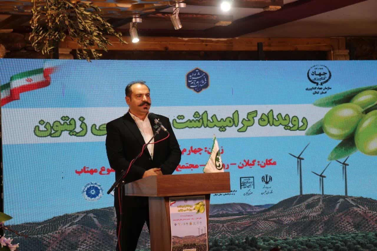 برگزاری رویداد روز ملی زیتون در شهرستان رودبار برگزاری رویداد روز ملی زیتون در شهرستان رودبار