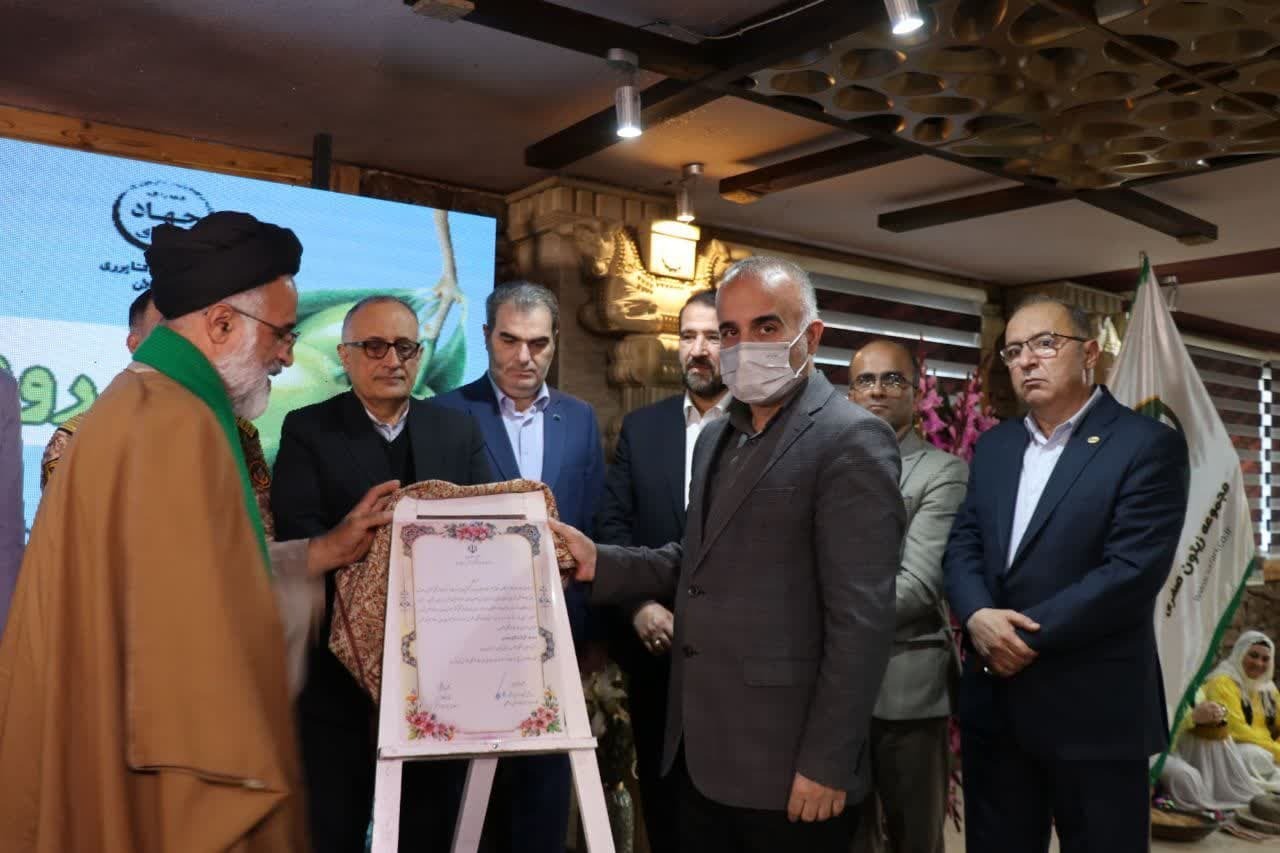 برگزاری رویداد روز ملی زیتون در شهرستان رودبار برگزاری رویداد روز ملی زیتون در شهرستان رودبار