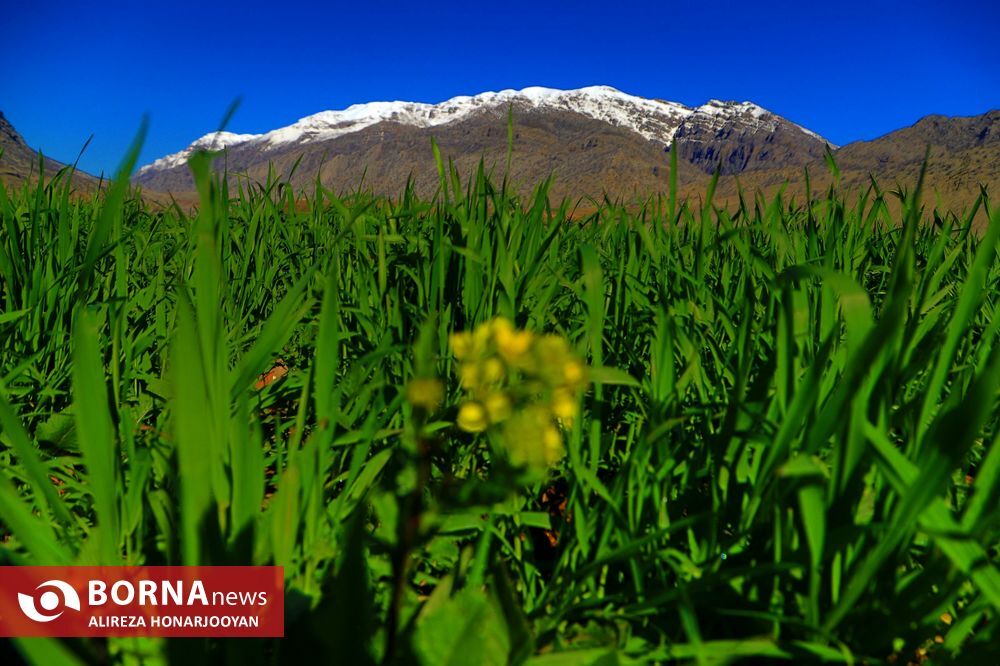 اندیکا آماده پذیرایی از مهمانان و گردشگران نوروزی است
