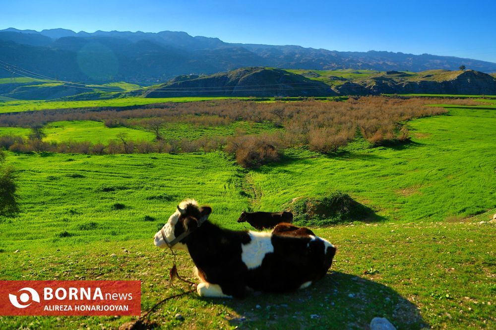 اندیکا آماده پذیرایی از مهمانان و گردشگران نوروزی است