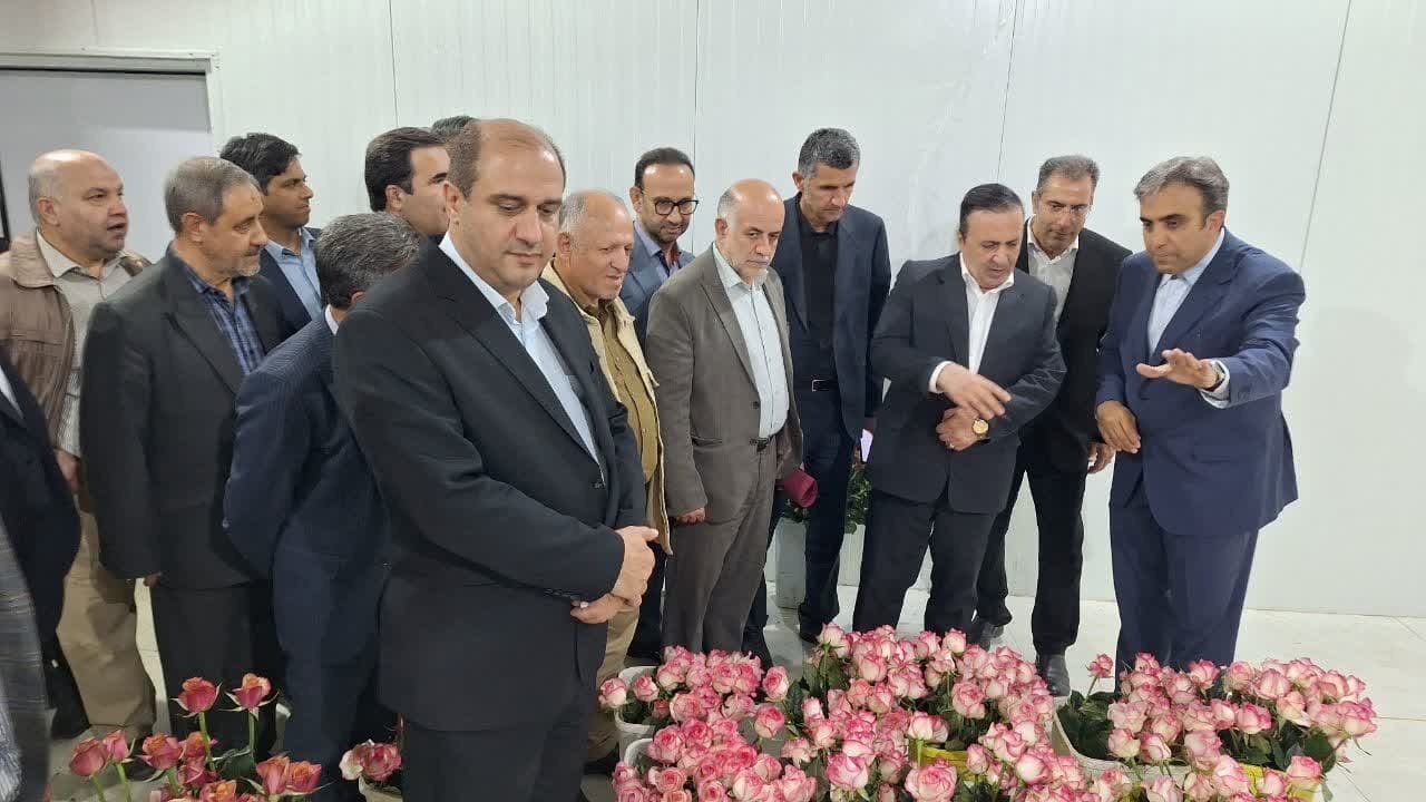 استاندار قزوین از واحد تولید گل شاخه بریده در آبیک بازدید کرد