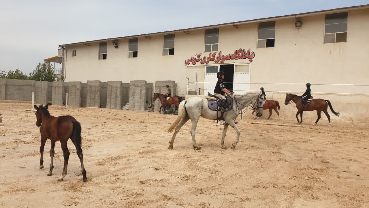 حمایت از صنعت سوارکاری میتواند به رونق گردشگری قزوین کمک کند حمایت از صنعت سوارکاری میتواند به رونق گردشگری قزوین کمک کند