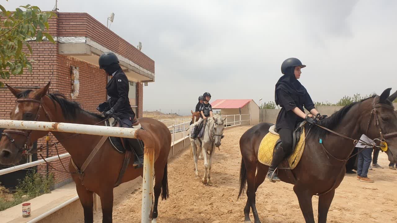 حمایت از صنعت سوارکاری میتواند به رونق گردشگری قزوین کمک کند حمایت از صنعت سوارکاری میتواند به رونق گردشگری قزوین کمک کند