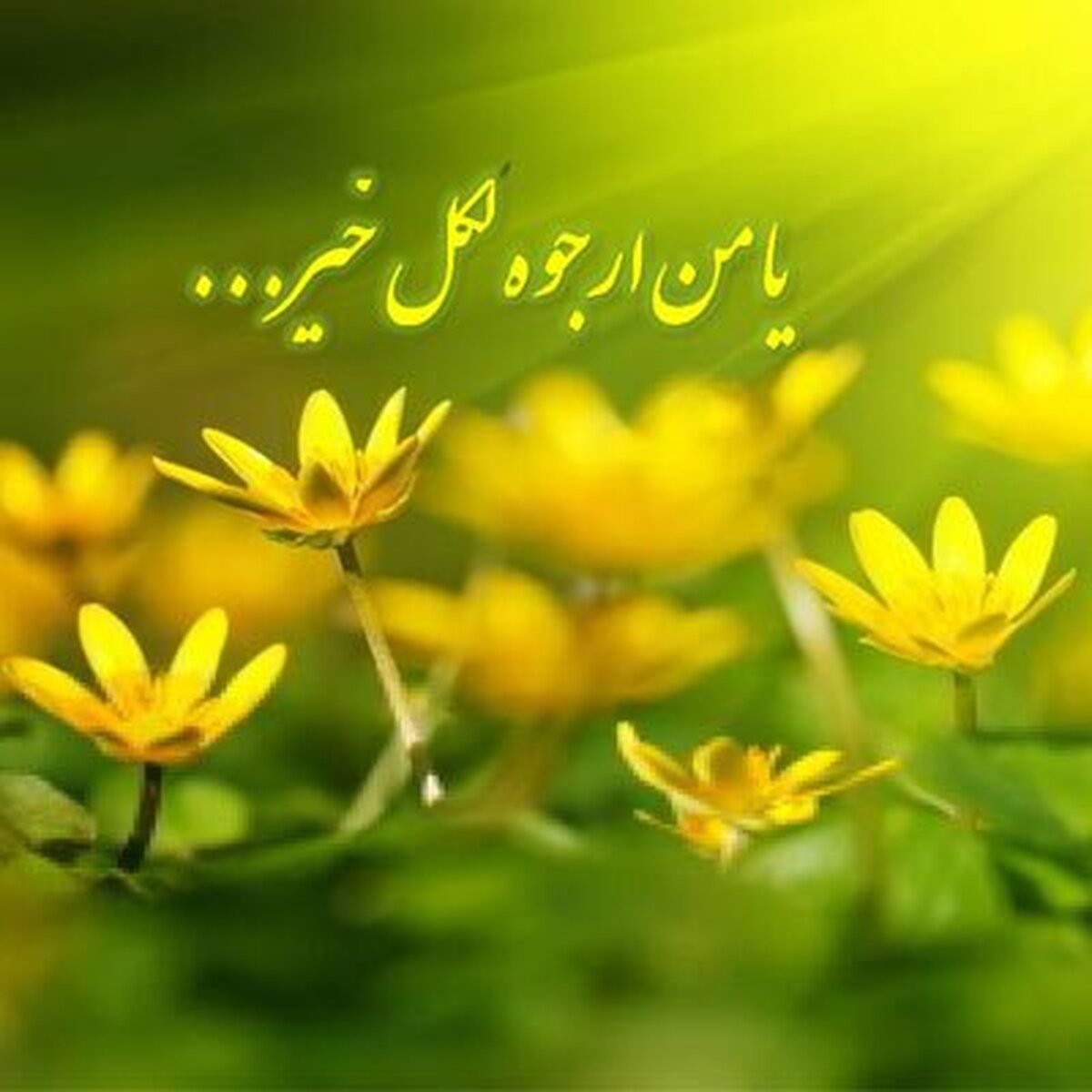 خداوند در ماه رجب منتظر این دو دسته از افراد است